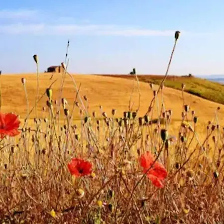 Hébergement de vacances La Casetta