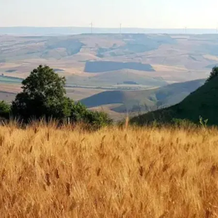 La Casetta Hébergement de vacances Irsina