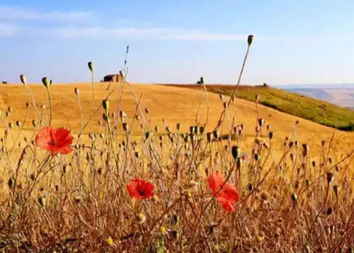 Holiday home La Casetta